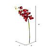 Vickerman 35" Magenta Real Touch Orchid Artificial Floral Stem Image 2