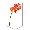 Vickerman 35" Orange Real Touch Orchid Artificial Floral Stem Image 2