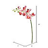 Vickerman 35" Pink Real Touch Orchid Artificial Floral Stem Image 2