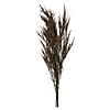 Vickerman 36-40" Green Reed Grass -Includes 8-9 oz per Bundle. Preserved Image 1