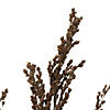 Vickerman 36-40" Green Reed Grass -Includes 8-9 oz per Bundle. Preserved Image 1