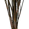 Vickerman 36-40" Green Reed Grass -Includes 8-9 oz per Bundle. Preserved Image 3