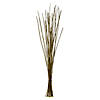 Vickerman 36-40&amp;#8221; Light Basil Caba Spine Bundle. Includes 24oz (3 -8oz Bundles), Dried Image 1