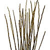 Vickerman 36-40&amp;#8221; Light Basil Caba Spine Bundle. Includes 24oz (3 -8oz Bundles), Dried Image 1