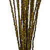Vickerman 36-40&amp;#8221; Light Basil Caba Spine Bundle. Includes 24oz (3 -8oz Bundles), Dried Image 2
