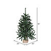 Vickerman 36" Anoka Pine Christmas Tree - Unlit Image 2