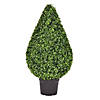 Vickerman 36" Artificial Boxwood Teardrop Shaped Bush, Black Plastic Pot Image 1