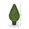 Vickerman 36" Artificial Boxwood Teardrop Shaped Bush, Black Plastic Pot Image 2