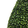 Vickerman 36" Artificial Boxwood Teardrop Shaped Bush, Black Plastic Pot Image 3
