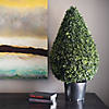 Vickerman 36" Artificial Boxwood Teardrop Shaped Bush, Black Plastic Pot Image 4