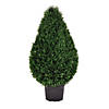 Vickerman 36" Artificial Cedar Teardrop Shaped Bush, Black Plastic Pot Image 1