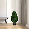 Vickerman 36" Artificial Cedar Teardrop Shaped Bush, Black Plastic Pot Image 1