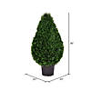 Vickerman 36" Artificial Cedar Teardrop Shaped Bush, Black Plastic Pot Image 2