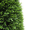 Vickerman 36" Artificial Cedar Teardrop Shaped Bush, Black Plastic Pot Image 3