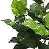 Vickerman 36" Artificial Green Pothos Plant Image 1