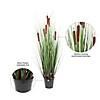 Vickerman 36" Artificial Potted Green Straight Gras and Cattails Image 4