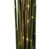 Vickerman 36" Aspen Gold Plume Reed Bundle (15-20 stems), Preserved Image 3