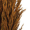 Vickerman 36" Autumn Plume Reed 2 Pack Bundle Image 3