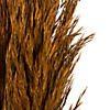 Vickerman 36" Autumn Plume Reed Bundle (15-20 stems), Preserved Image 3