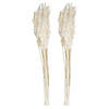 Vickerman 36" Bleached Plume Reed Bundle (15-20 stems), Preserved Image 3