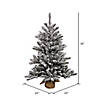 Vickerman 36" Flocked Anoka Pine Artificial Christmas Tree, Unlit Image 1