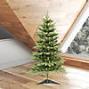 Vickerman 36" Frasier Fir Christmas Tree - Unlit Image 3