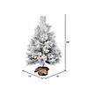 Vickerman 36" Frosted Beckett Pine Tree Image 1