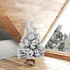 Vickerman 36" Frosted Beckett Pine Tree Image 2