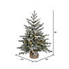 Vickerman 36" Frosted Sable Pine Christmas Tree with Warm White LED Lights Image 1