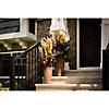 Vickerman 36" Ivory Plume Reed Bundle (15-20 stems), Preserved Image 1