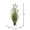 Vickerman 36" PVC Artificial Potted Green Grass with Pomp Balls Image 2