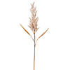 Vickerman 36" Tan Artificial Dried Cluster Reed Spray, 3 per bag. Image 1