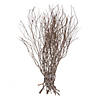 Vickerman 36" Tigerwood bundle, 25 stems per Bundle , Dried Image 1