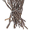 Vickerman 36" Tigerwood bundle, 25 stems per Bundle , Dried Image 3