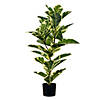 Vickerman 38" Artificial Potted Dieffenbachia Tree Image 1