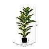 Vickerman 38" Artificial Potted Dieffenbachia Tree Image 2