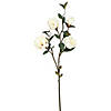 Vickerman 38" Cream Magnolia Artificial floral Stem, Set of 3 Image 1
