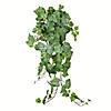 Vickerman 39" Artificial Green &amp; White Grape Leaf Ivy Hanging Bush Image 1