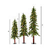 Vickerman 4' 5' 6' Natural Alpine Artificial Christmas Tree Set, Multi-colored LED Lights, Set of 3 Image 2