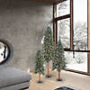 Vickerman 4' 5' 6' Natural Bark Alpine Artificial Christmas Tree Set, Clear Dura-lit Lights Image 3
