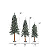 Vickerman 4' 5' 6' Natural Bark Alpine Artificial Christmas Tree Set, Unlit Image 2