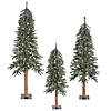 Vickerman 4' 5' 6' Natural Bark Alpine Artificial Christmas Tree Set, Warm White Dura-lit LED Lights Image 1