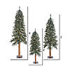 Vickerman 4' 5' 6' Natural Bark Alpine Artificial Christmas Tree Set, Warm White Dura-lit LED Lights Image 2