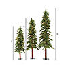 Vickerman 4', 5', and 6' Natural Look Alpine Christmas Tree Set with Multi-Colored Lights Image 3