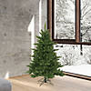 Vickerman 4.5' Camdon Fir Christmas Tree - Unlit Image 3