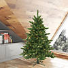 Vickerman 4.5' Camdon Fir Christmas Tree with Clear Lights Image 3