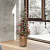 Vickerman 4.5' Frosted Berry Potted Pine Artificial Christmas Tree, Warm White Dura-lit LED Lights Image 2
