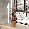 Vickerman 4.5' Frosted Berry Potted Pine Artificial Christmas Tree, Warm White Dura-lit LED Lights Image 3