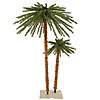 Vickerman 4' and 6' Outdoor Palm Artificial Christmas Artificial Tree with 400 Warm White Italian LED Lights Image 1