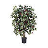 Vickerman 4' Artificial Capensia Bush, Black Plastic Pot. Image 1